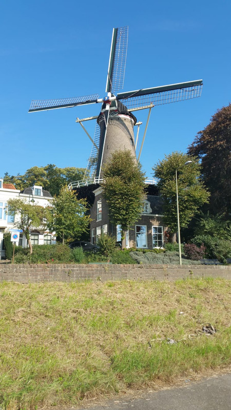 Pieter, 't Slot 03 Gouda 06-10-2018