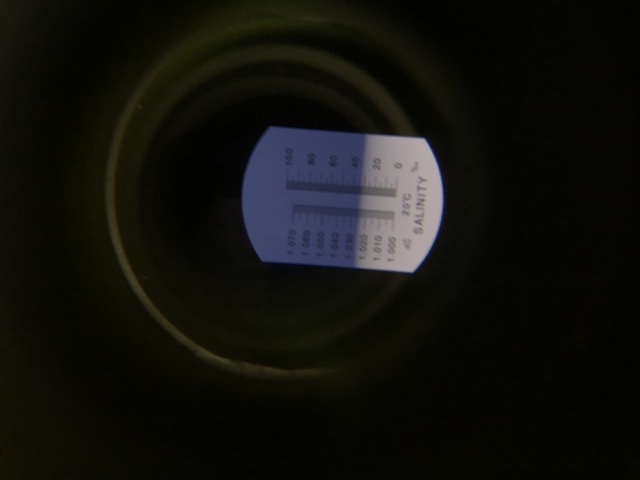 A1A06FE2-E128-47AD-92C9-2ACDD47CB86E