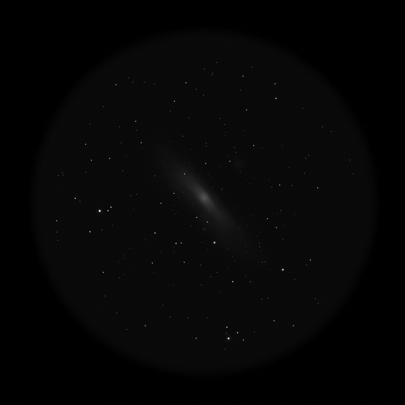 M31