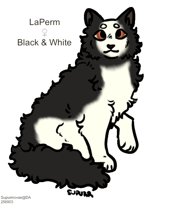 La-Perm-B-W.png