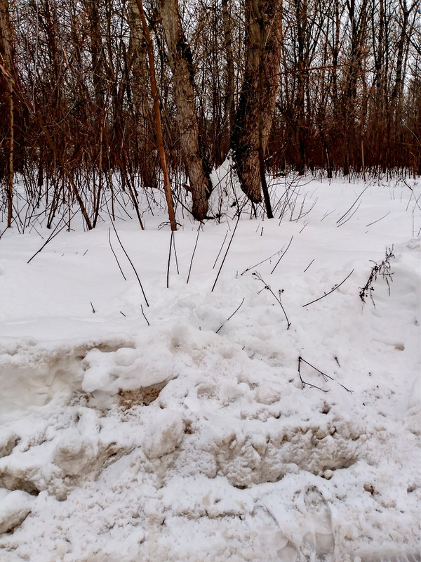 IMG 20260305 100737 558