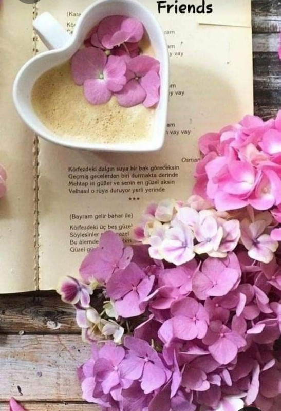 Screenshot_20230309_230341_Pinterest