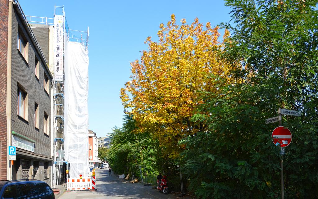 20200921-Stein-Gass.jpg