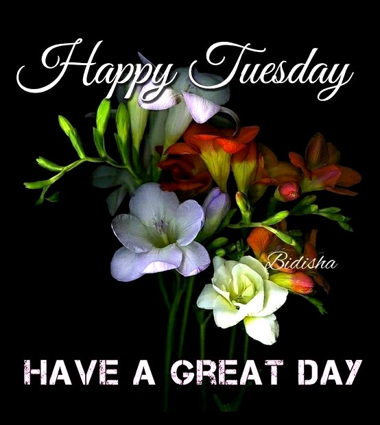 TUESDAY-mardi-37