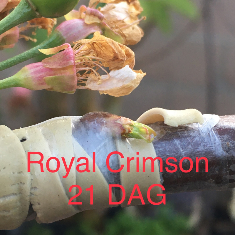 D224BB8A-4C5B-49D7-88C7-300DE54FB71E