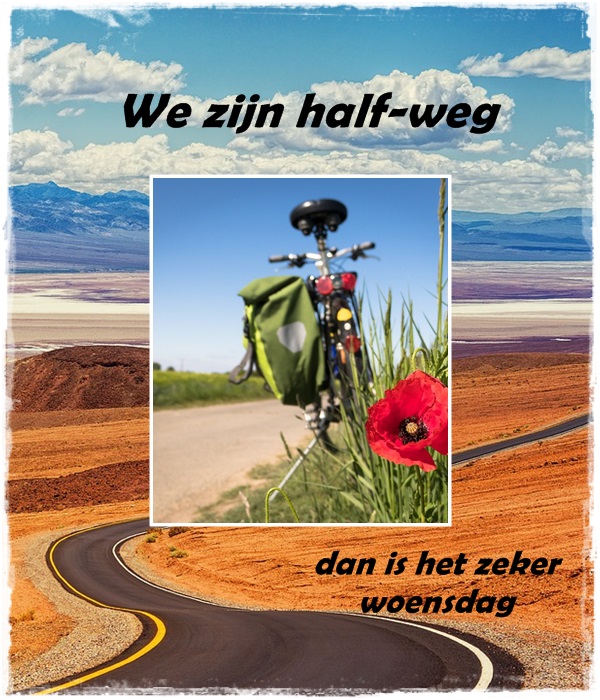 welkom op Krikkie