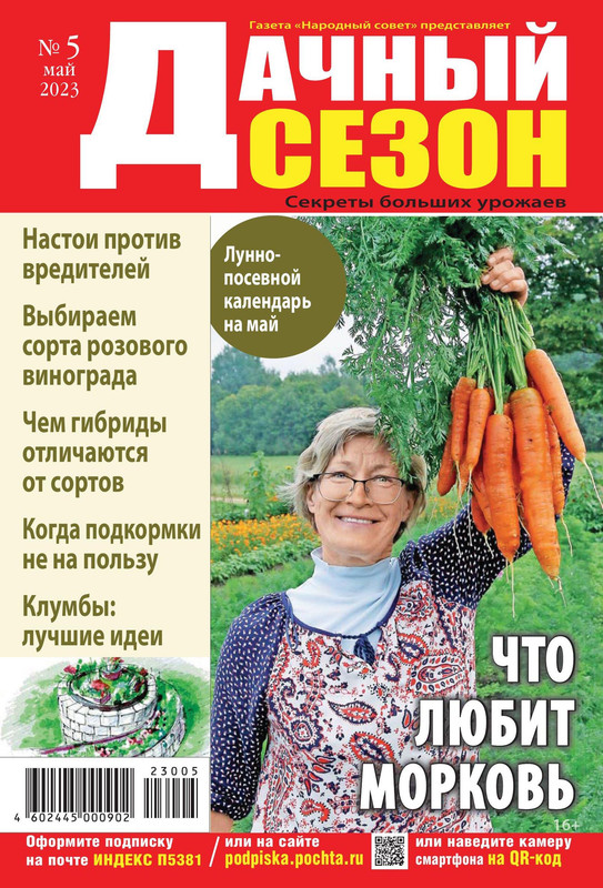 dachsezon-052023-1