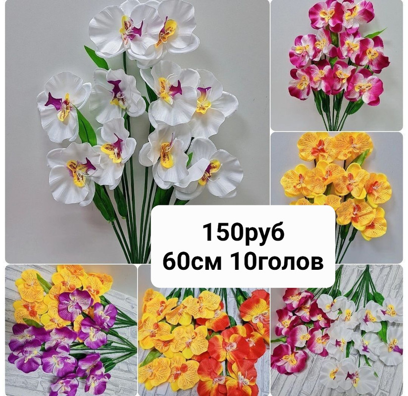 https://i.postimg.cc/Dwc9KGVj/IMG-20230221-233620.jpg