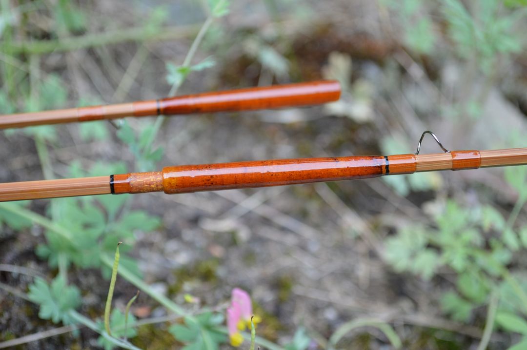 FB_IMG_1706155837806