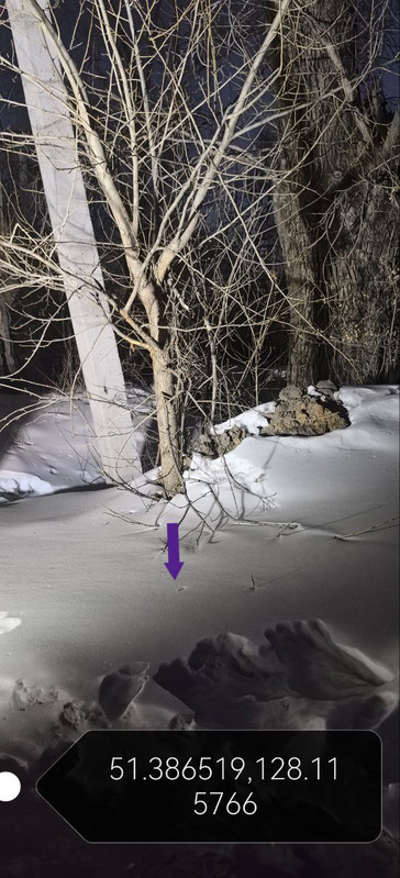 IMG 20260210 184005 817