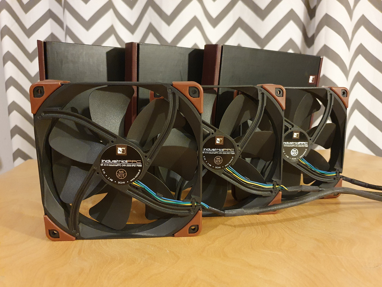 Noctua (11)