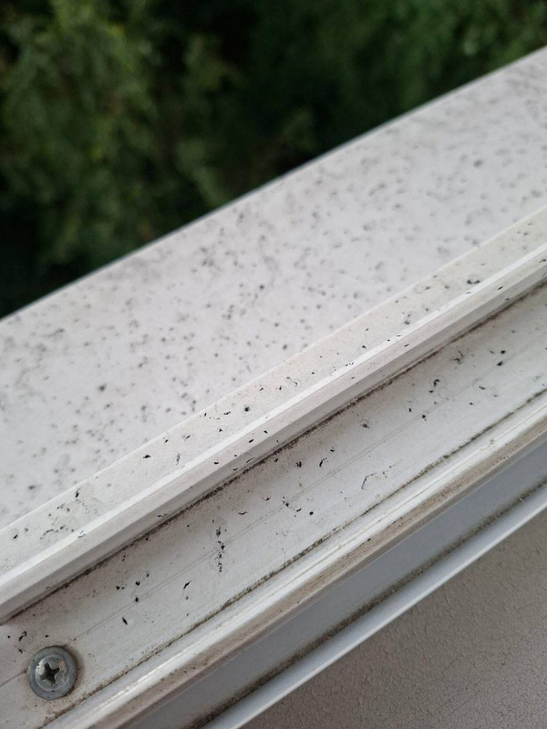 https://i.postimg.cc/DwcrTW1T/photo-2026-06-18-23-03-59.jpg