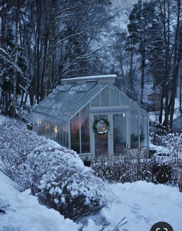 Screenshot_20240120_193340_Pinterest