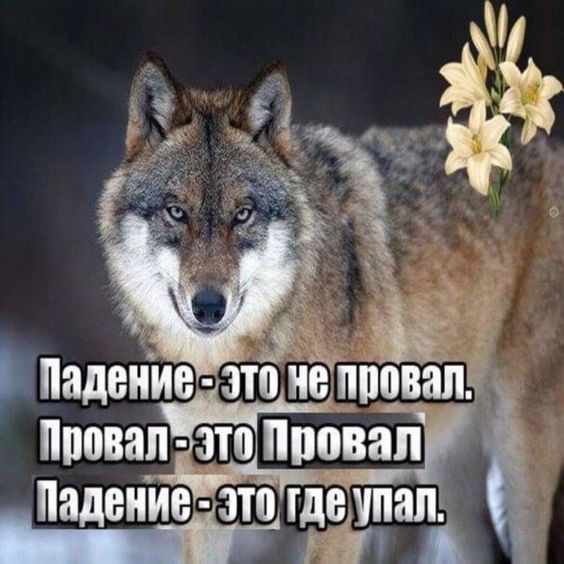 f5e93b8a5d31eedf9f44448110c9f21d.jpg
