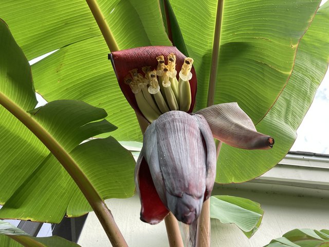 9D96AC38-DA07-4CF3-9757-22182B820085