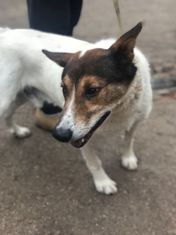 12089EE6-0596-4997-AB25-8EC800D9A388