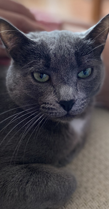 DE3EADF3-6619-4AEB-A231-C79EE562452F