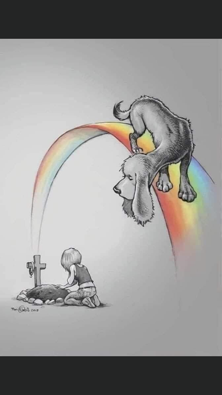 [Image: 2020-228.png]