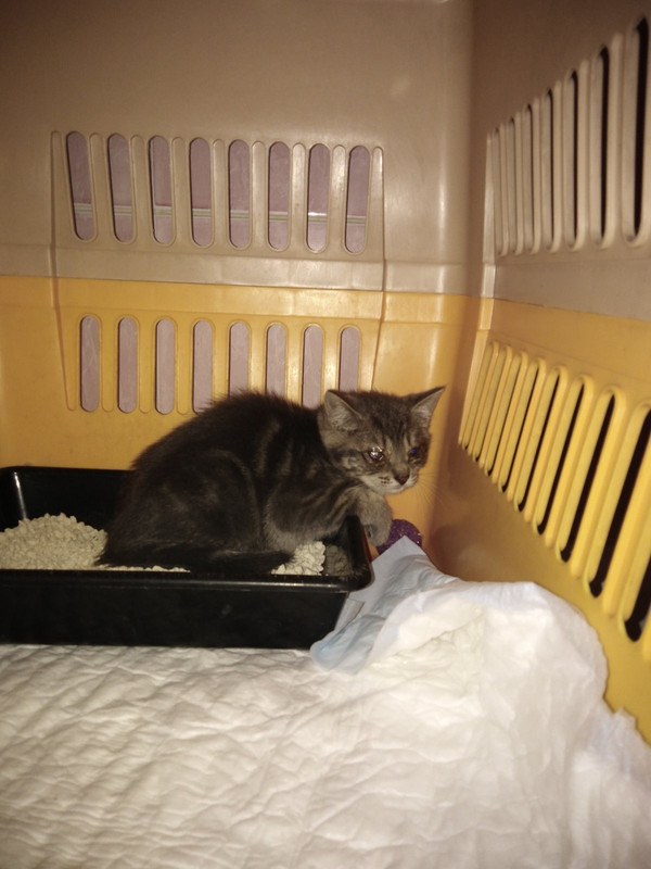 B3A26D5D-94EA-4FD1-B8D7-59906505BE3E