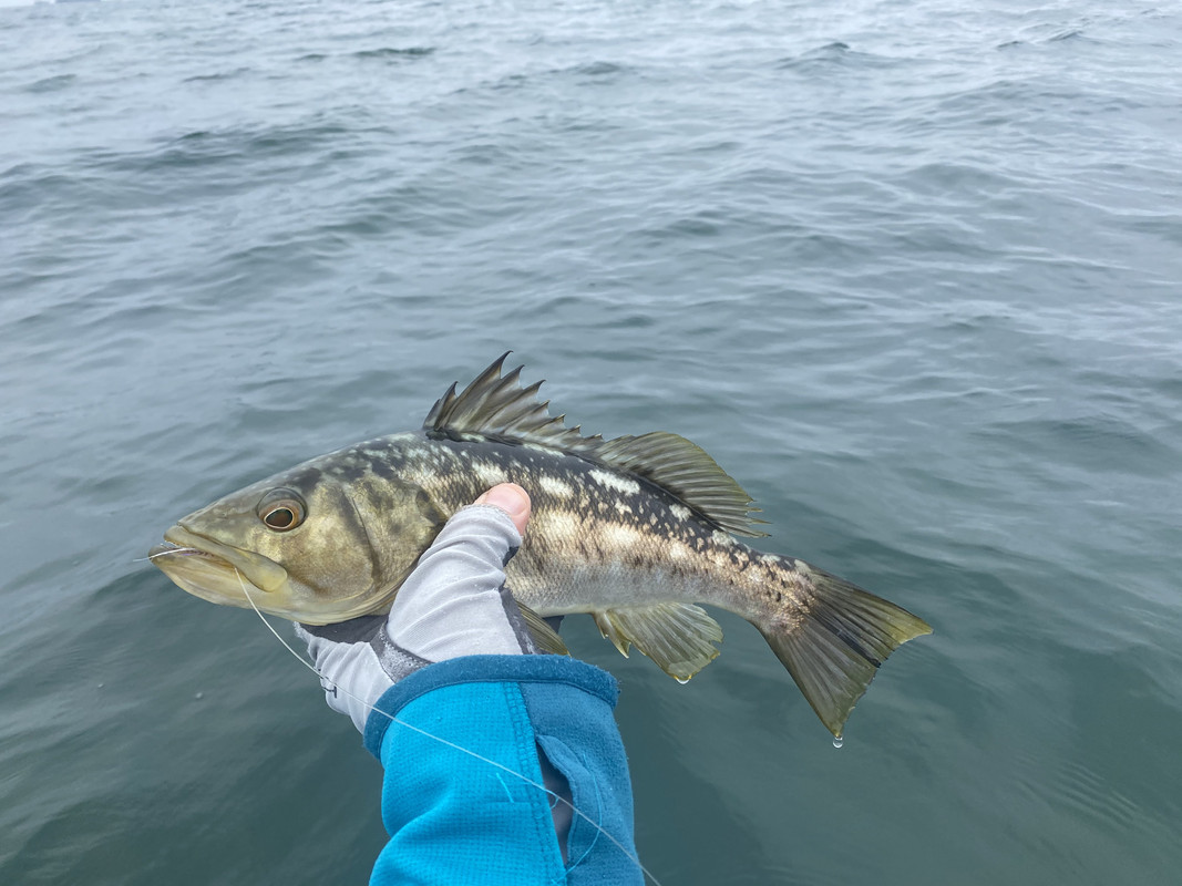 DB981564-9BE9-44C3-B4BF-A12EE59EE997