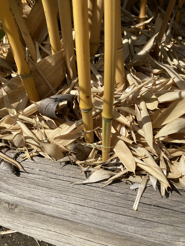 4E99E6E7-C88E-4008-BED7-FE2385C6D25E