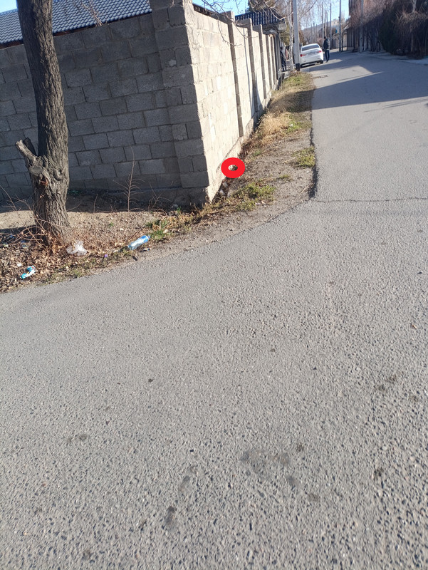 IMG 20260111 140831