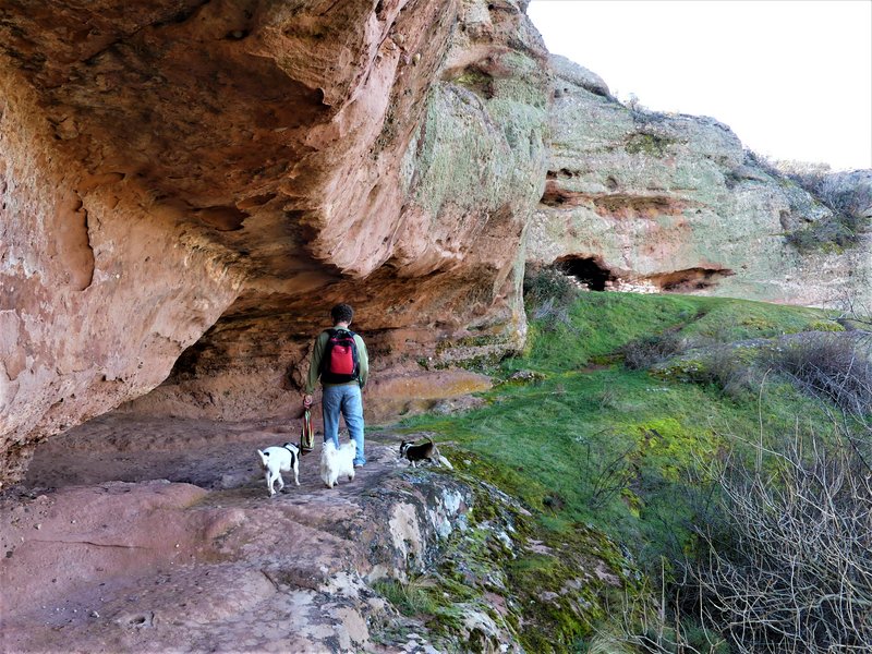 YACIMIENTO ARQUEOLOGICO DE TIERMES-16-2-2020 - Soria y sus pueblos-2010/2013/2020 (68)