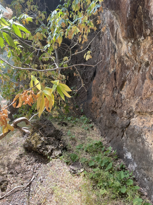 E7730664-6880-4A4C-9350-99883982C17E