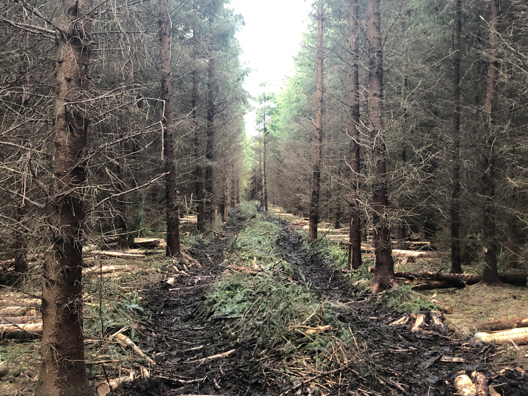 7361D30F-1239-443B-B3E3-786BBD7C085E