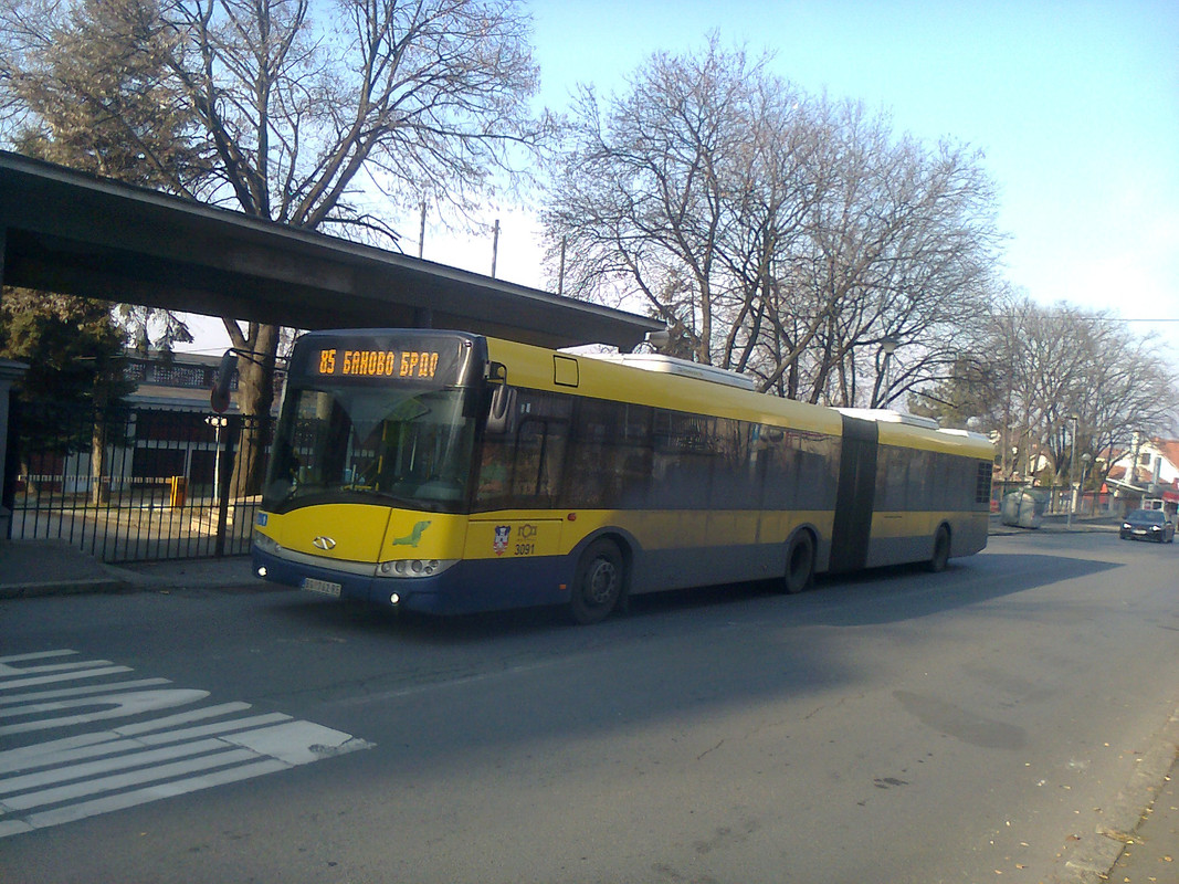 3091