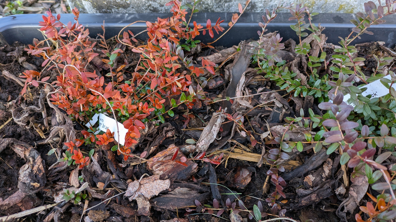 PXL_20250408_165430977