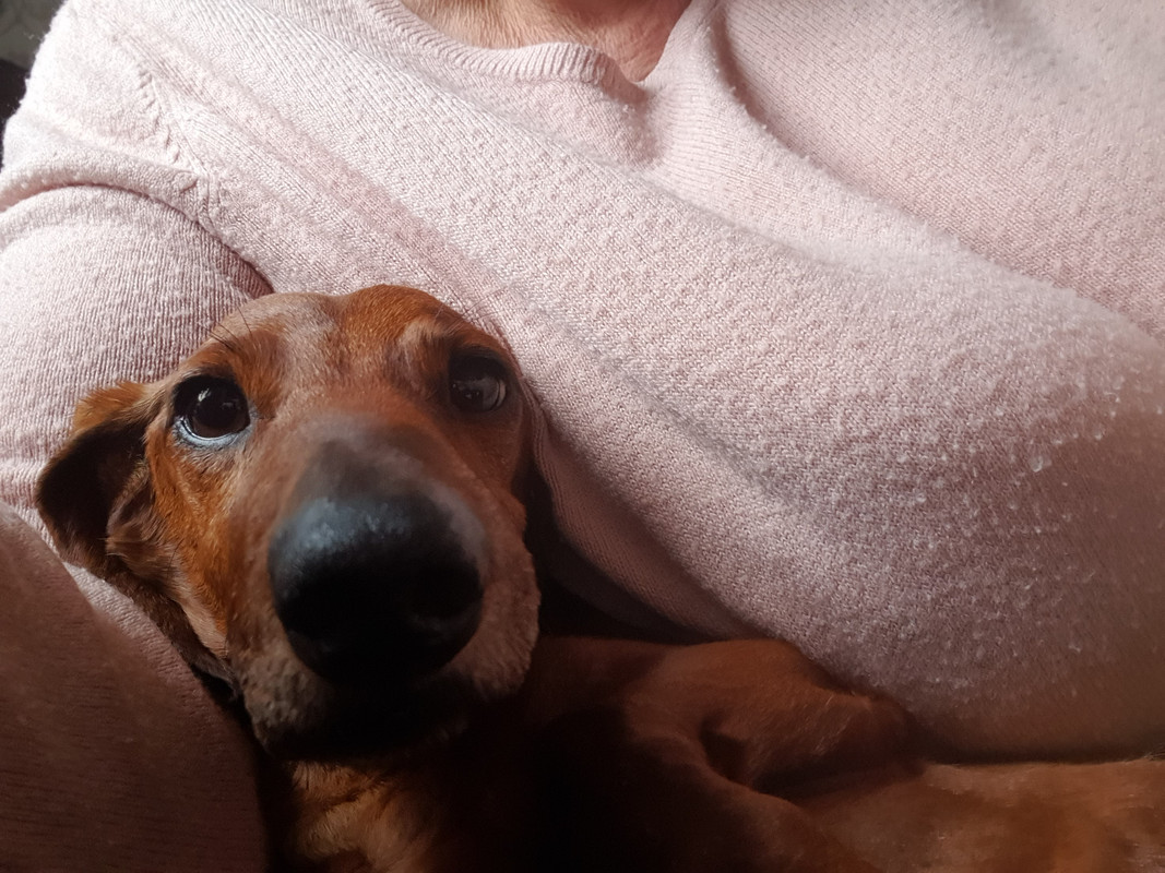 [Image: 20230415-174217.jpg]