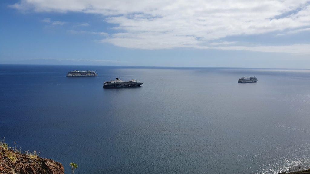 Tenerife: hay turismo más allá de El Teide - Blogs de España - PLAYA DE LAS TERESITAS- PLAYA DE LAS GAVIOTAS- REGRESO A CASA (5)