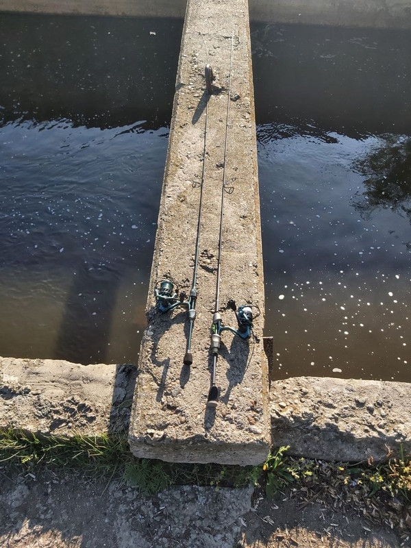 photo_5352711342236230273_y