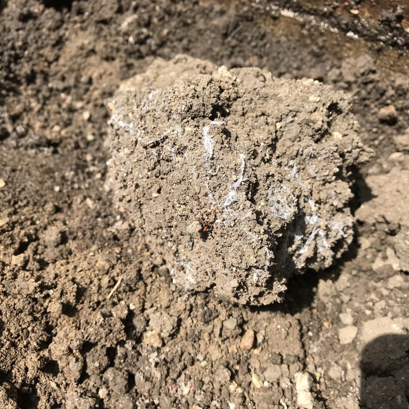 F167DDF4-653E-4777-B148-CDA8E46383C7