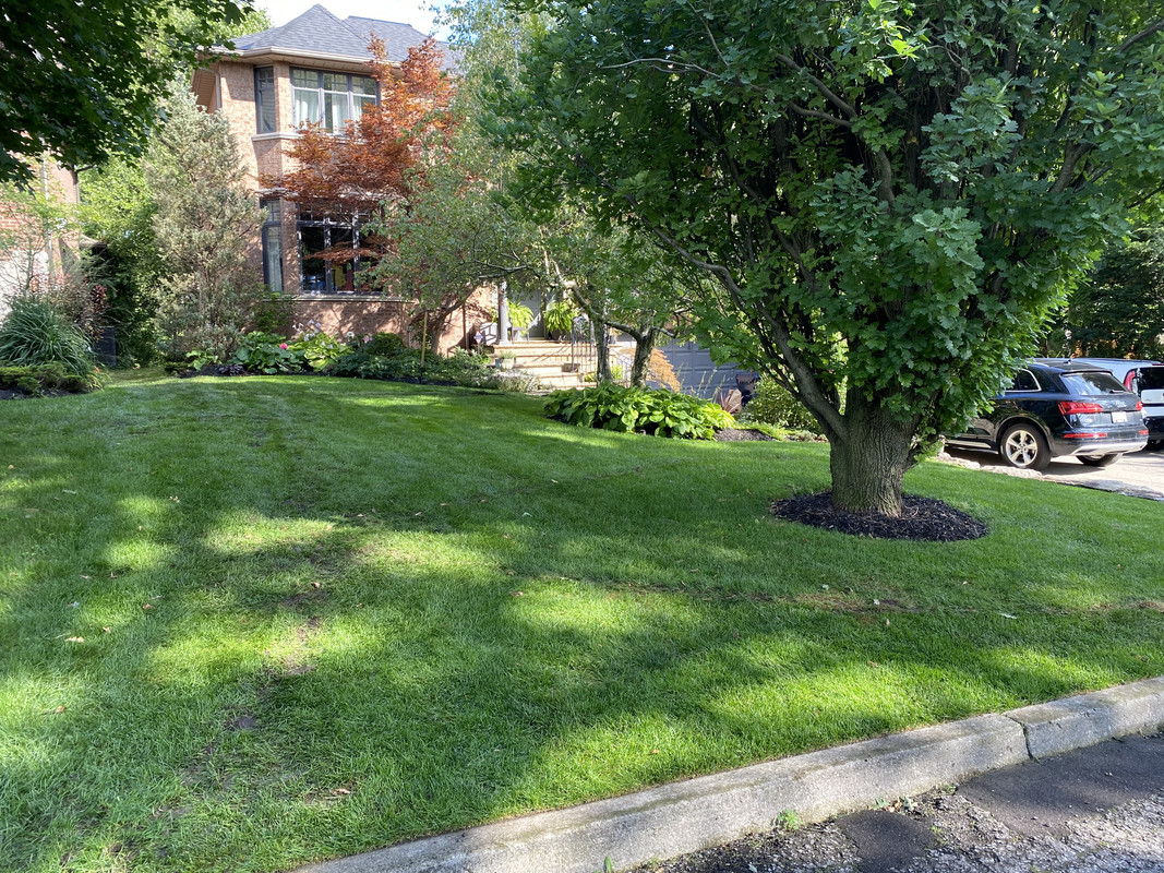 9AFAB05C-ECAE-4730-907A-2697EDA07A5F