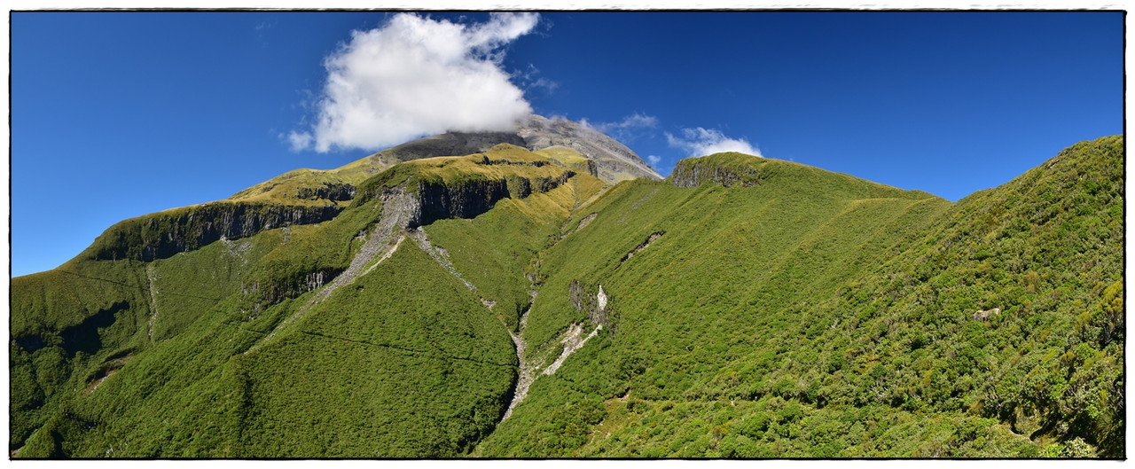 Egmont / Taranaki NP: Pouakai Circuit (marzo 2021) - Escapadas y rutas por la Nueva Zelanda menos conocida (8)