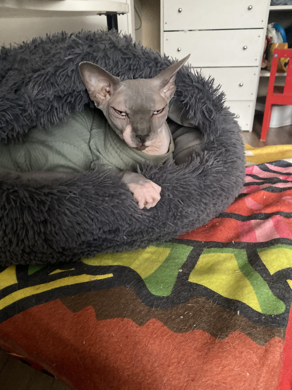 6EA50318-467F-413B-8AB6-E3BBD3AB8A33