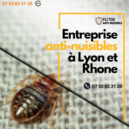 Anti bed bug company in Lyon