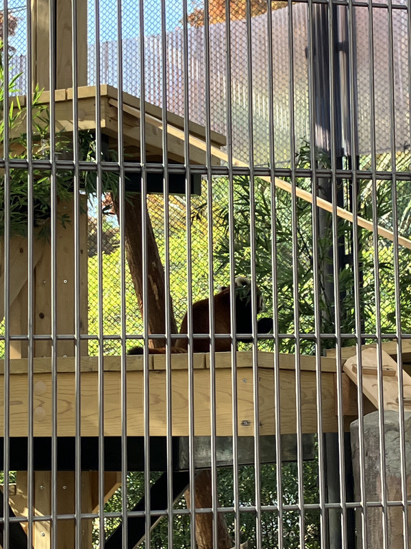 C0518494-C9EA-489F-9A63-5598C616FD7A