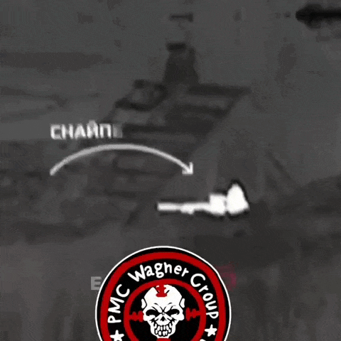 https://i.postimg.cc/DwhJMJ61/video-2026-05-26-16-17-04-(1).gif