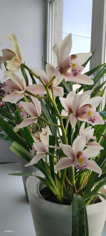 2234482d-af49-4756-8548-65a8cb9c63c1