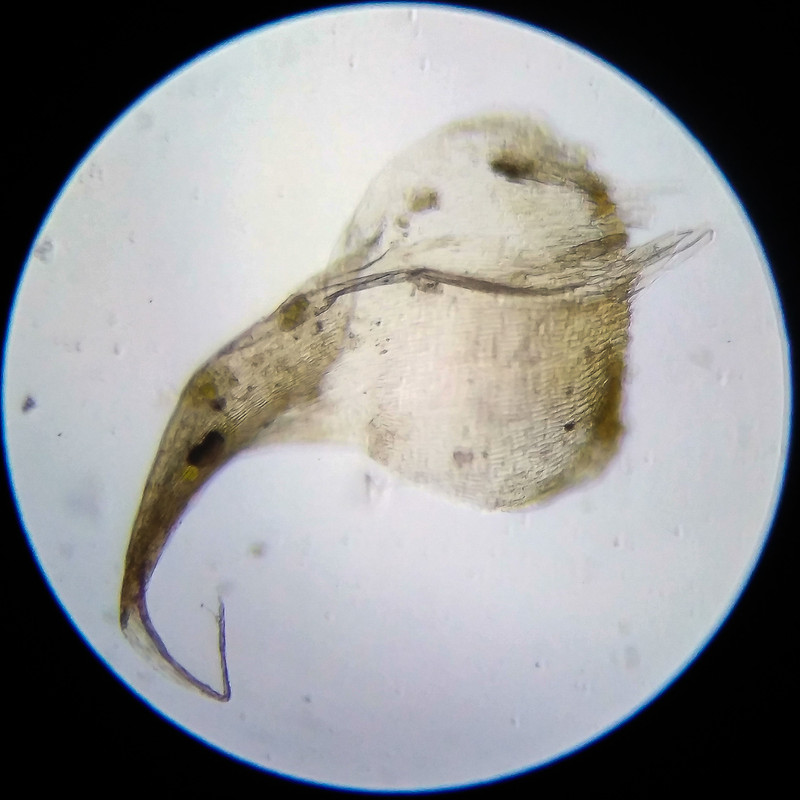 IMG 20250614 203642 HDR