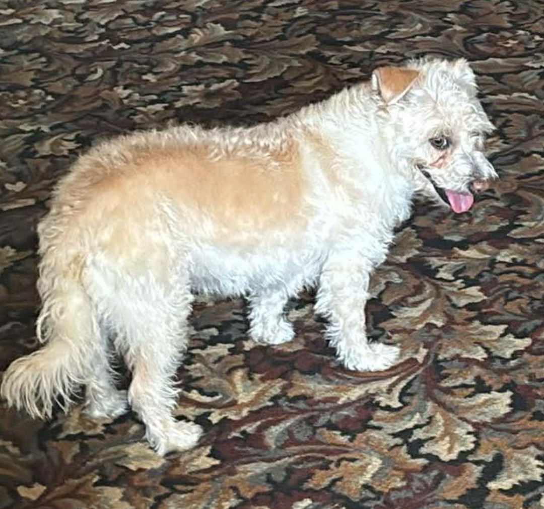 Screenshot 20260223 141055 2