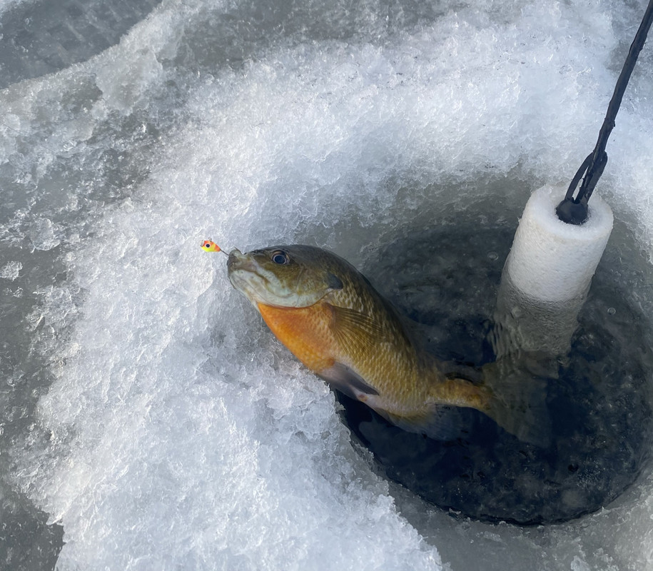 0D1A6A6D-F0E2-45ED-9A0A-FAD91DDE5700