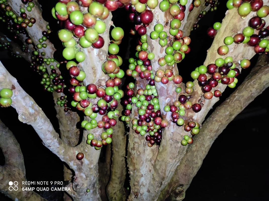 WhatsApp Image 2020-12-20 at 00.10.49 (39)