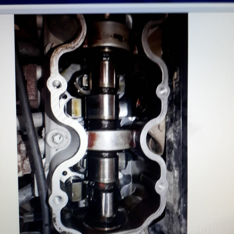 WhatsApp Image 2019-05-06 at 09.48.52(1)