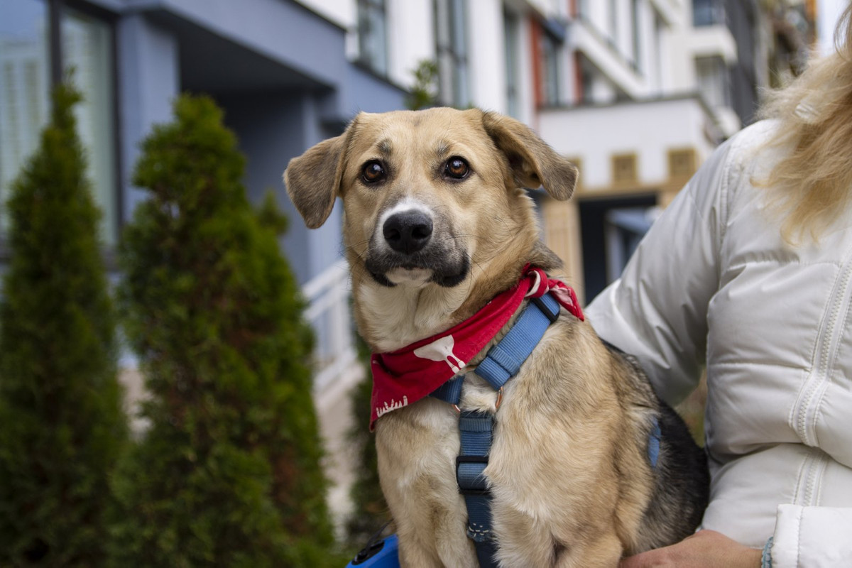 изображение_viber_2022-12-05_22-36-30-022