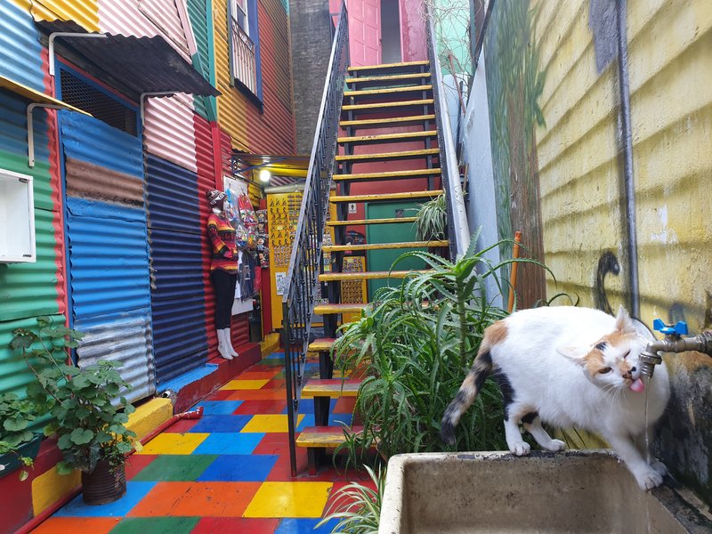 MARTES 27 AGOSTO 2019: Caminito, La Boca y Puerto Madero - RÍO DE JANEIRO Y RUTA POR ARGENTINA POR LIBRE. AGOSTO 2019 (11)