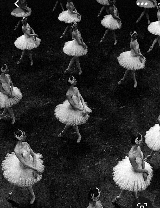 Screenshot_20230429_001123_Pinterest